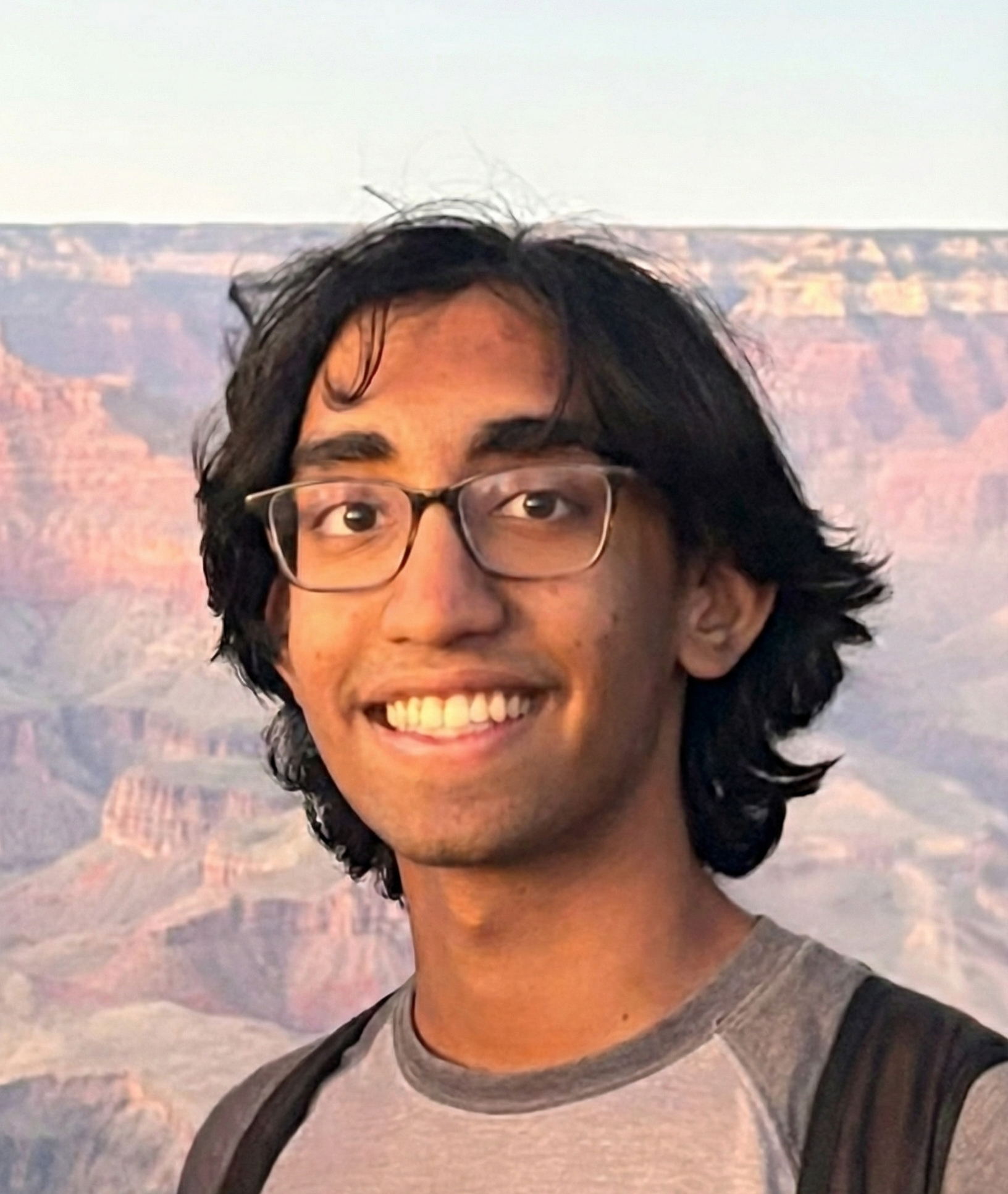 Portrait of Krishna Tholudur